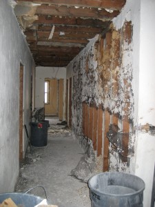 Construction 2013-01-12 044
