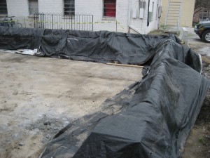 Phase II – Week 20