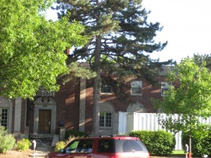 Phase II – Week 24
